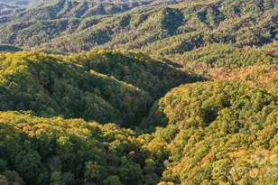 4189 Bristol Pl, Collettsville, NC 28611 - Photo 38