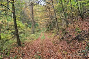 4189 Bristol Pl, Collettsville, NC 28611 - Photo 40