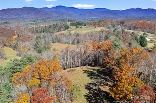 321 Lyle Ln, Green Mountain, NC 28740 - Photo 6