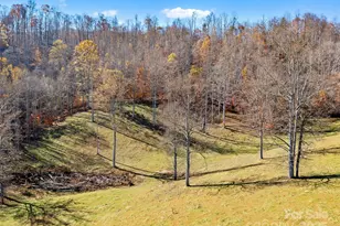 321 Lyle Ln, Green Mountain, NC 28740 - Photo 8