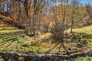 321 Lyle Ln, Green Mountain, NC 28740 - Photo 16