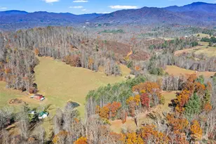 321 Lyle Ln, Green Mountain, NC 28740 - Photo 18