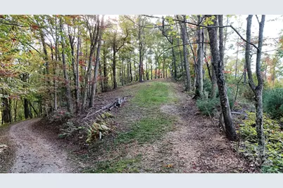 2 Roberts Mountain Road #2, Clyde, NC 28721 - Photo 2