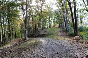 2 Roberts Mountain Rd, Clyde, NC 28721 - Photo 1