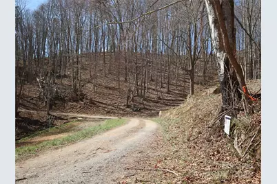 2 Roberts Mountain Road #2, Clyde, NC 28721 - Photo 6