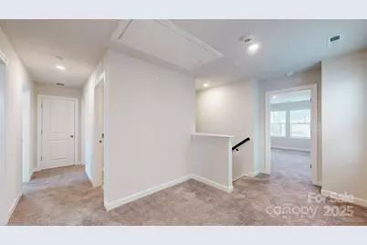 527 Palmarosa Street, Fort Mill, SC 29715 - Photo 22