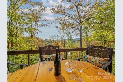 351 Buck Springs Run, Mars Hill, NC 28754 - Photo 2