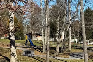 302 S Whitted St, Hendersonville, NC 28739 - Photo 36