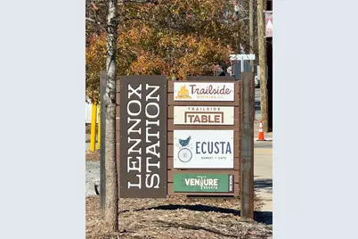 302 S Whitted Street, Hendersonville, NC 28739 - Photo 40