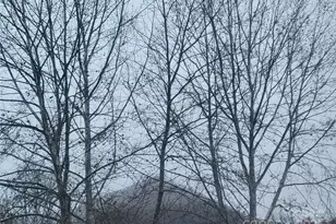 141 Pike Point, Waynesville, NC 28785 - Photo 20