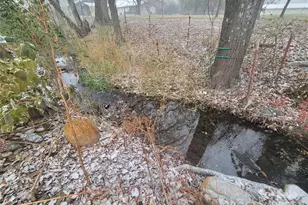 141 Pike Point, Waynesville, NC 28785 - Photo 8