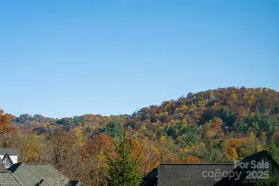 38 Chantilly Drive, Asheville, NC 28804 - Photo 44