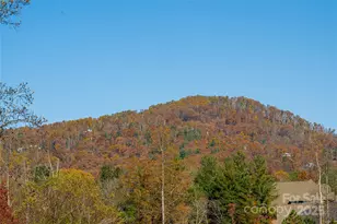 38 Chantilly Dr, Asheville, NC 28804 - Photo 2