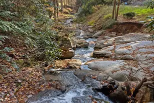 65 Charleston Harbor Dr, Saluda, NC 28773 - Photo 6