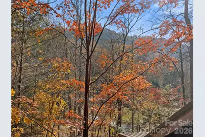 65 Charleston Harbor Drive, Saluda, NC 28773 - Photo 34