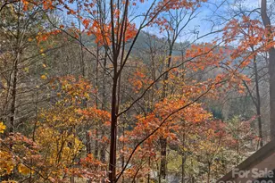 65 Charleston Harbor Dr, Saluda, NC 28773 - Photo 34