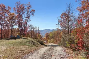 242 Crossview Dr, Bryson City, NC 28713 - Photo 46
