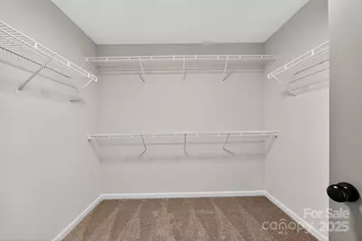 11227 Suunto Lane, Cornelius, NC 28031 - Photo 12