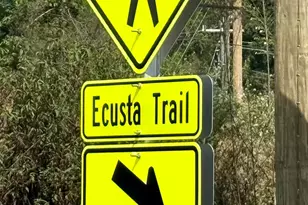 25 Sweet Clover Ln, Hendersonville, NC 28739 - Photo 24