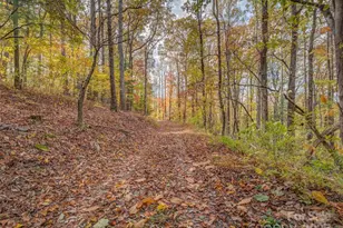 6130 Howard Gap Rd, Saluda, NC 28773 - Photo 22