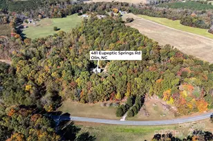 481 Eupeptic Springs Rd, Olin, NC 28660 - Photo 4