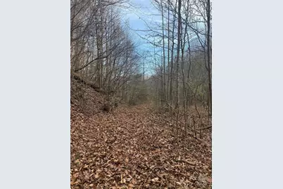 3066 Hartley Kincaid Place, Lenoir, NC 28645 - Photo 46