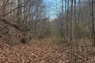 3066 Hartley Kincaid Pl, Lenoir, NC 28645 - Photo 46