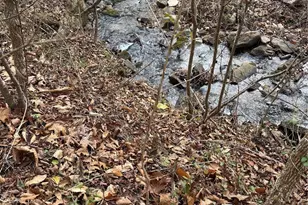 3066 Hartley Kincaid Pl, Lenoir, NC 28645 - Photo 40