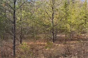 3066 Hartley Kincaid Pl, Lenoir, NC 28645 - Photo 44