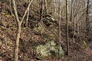 3066 Hartley Kincaid Pl, Lenoir, NC 28645 - Photo 42