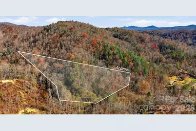 3066 Hartley Kincaid Place, Lenoir, NC 28645 - Photo 40