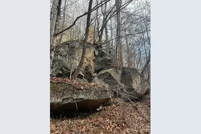 3066 Hartley Kincaid Place, Lenoir, NC 28645 - Photo 44