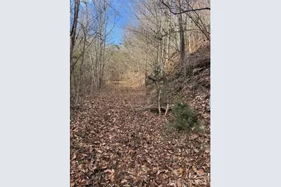 3066 Hartley Kincaid Place, Lenoir, NC 28645 - Photo 42