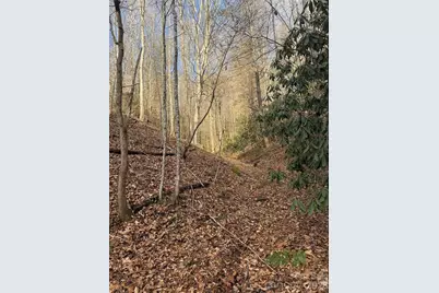 3066 Hartley Kincaid Place, Lenoir, NC 28645 - Photo 48