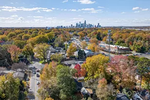 3015 Virginia Ave, Charlotte, NC 28205 - Photo 34