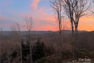 300 Roberts Dr, Hendersonville, NC 28739 - Photo 4