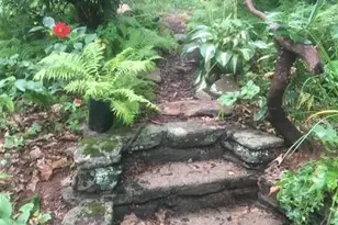 233 Rolling Dr, Waynesville, NC 28786 - Photo 36