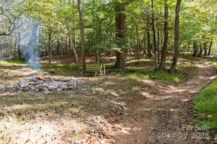 4829 Mt Olive Church Rd, Charlotte, NC 28276 - Photo 48