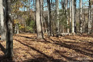 2944 Ranger Rd, Clover, SC 29710 - Photo 22