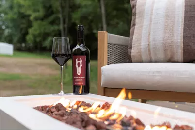 9849 Rich Hatchet Road, Huntersville, NC 28078 - Photo 30