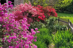 10 Hvn Crst Ln, Fletcher, NC 28732 - Photo 26