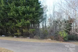 1761 Dearborn Street Ext, Morganton, NC 28655 - Photo 34