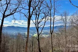 65 Thumper Trail, Waynesville, NC 28785 - Photo 2