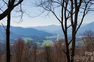 65 Thumper Trail, Waynesville, NC 28785 - Photo 6
