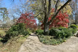 806 N Craige St, Salisbury, NC 28144 - Photo 42