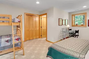 113 Mountain Cove Rd, Waynesville, NC 28786 - Photo 40