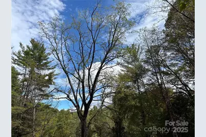 846 Joe Shoemaker Road, Vilas, NC 28692 - Photo 18