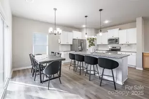 3228 McGee Hl Dr, Charlotte, NC 28216 - Photo 8