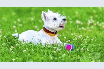 10120 Florentine Way, Charlotte, NC 28214 - Photo 18