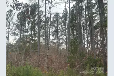 0 Freeman Road, Forest City, NC 28043 - Photo 10